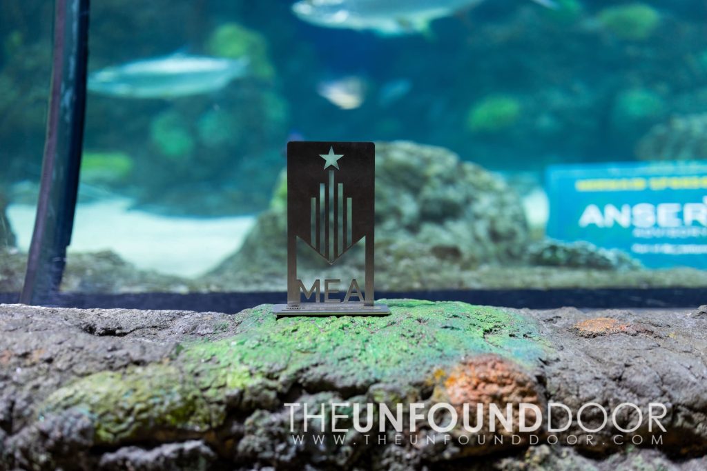 A metallic MEA trophy featuring a star and upward lines sits on a rock in front of an aquarium display, with blurred fish and water in the background—a nod to Colorado engineering excellence. “THE UNFOUND DOOR” watermark appears at the bottom.